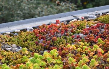 the cost of Little Dunkeld green roof installation
