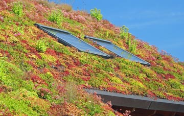 Little Dunkeld living roof systems