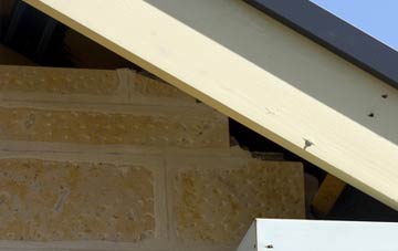 soffit repair Little Dunkeld