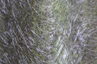 Little Dunkeld fibreglass roof work